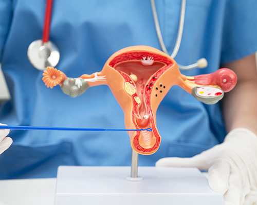 Egg retrieval procedure